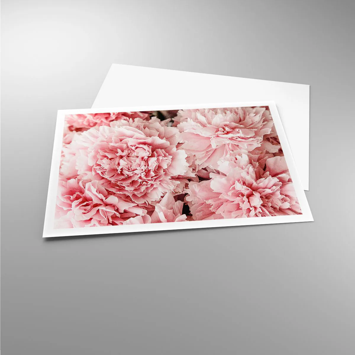 Plakat - Lyserød drøm - 100x70 cm