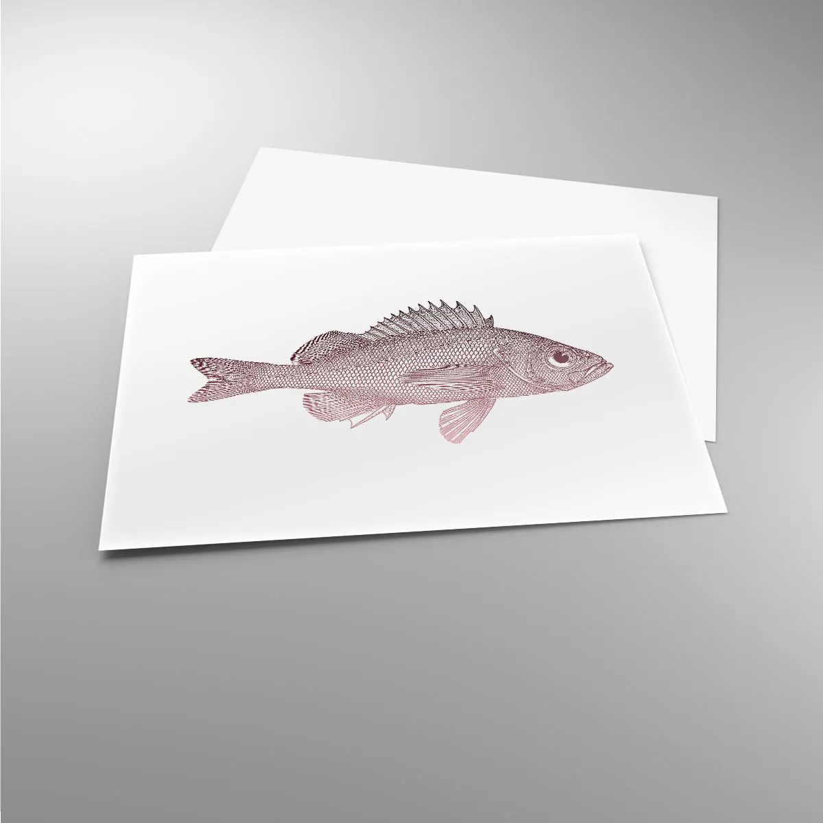 Poster - Detaillierte Darstellung eines Fisches auf weißem Hintergrund - 100x70cm - Großäugiger Fisch - Moderne Wanddekoration für Wohnzimmer und Schlafzimmer ARTTOR