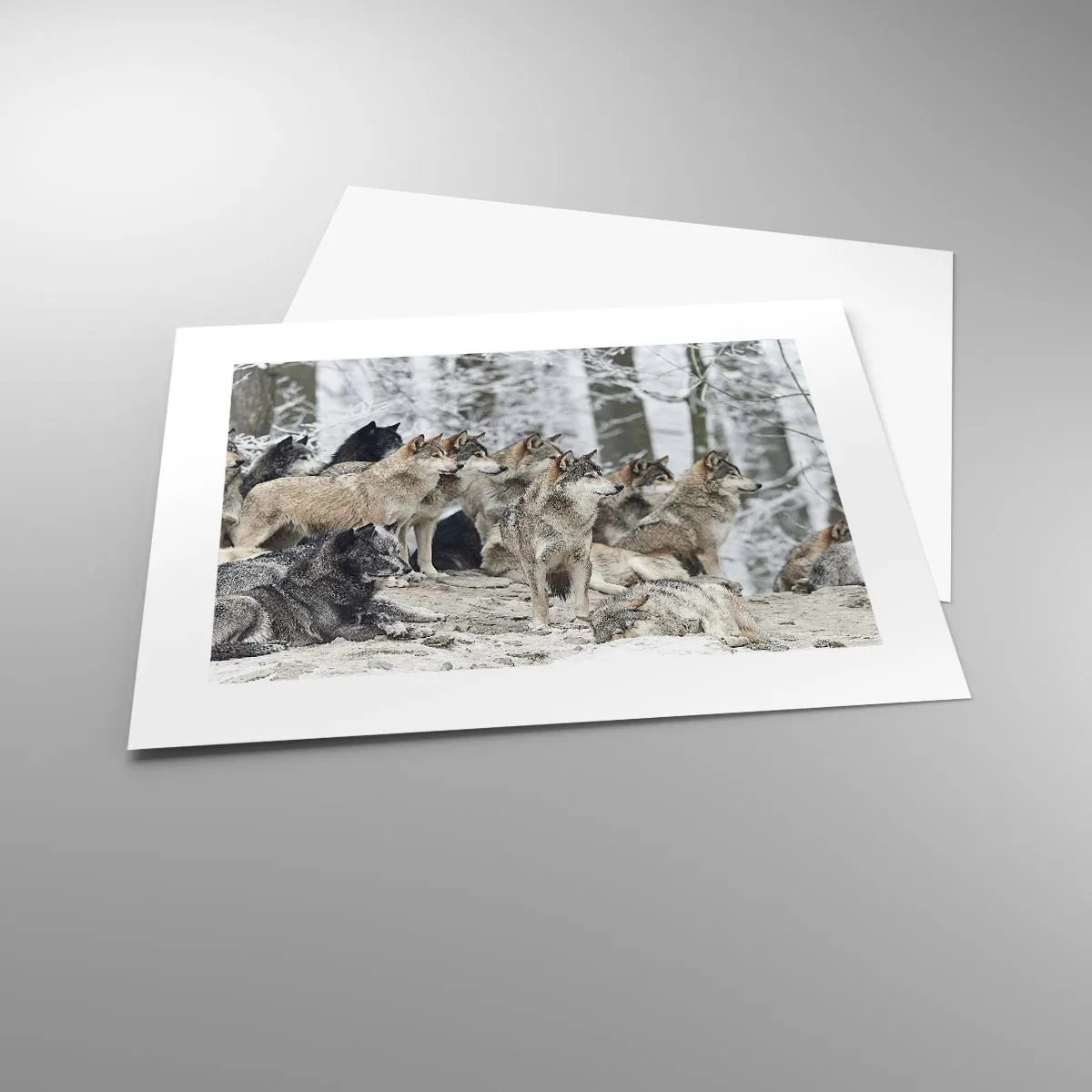 Plakat - Rodzina i przyjaciele - 40x30 cm