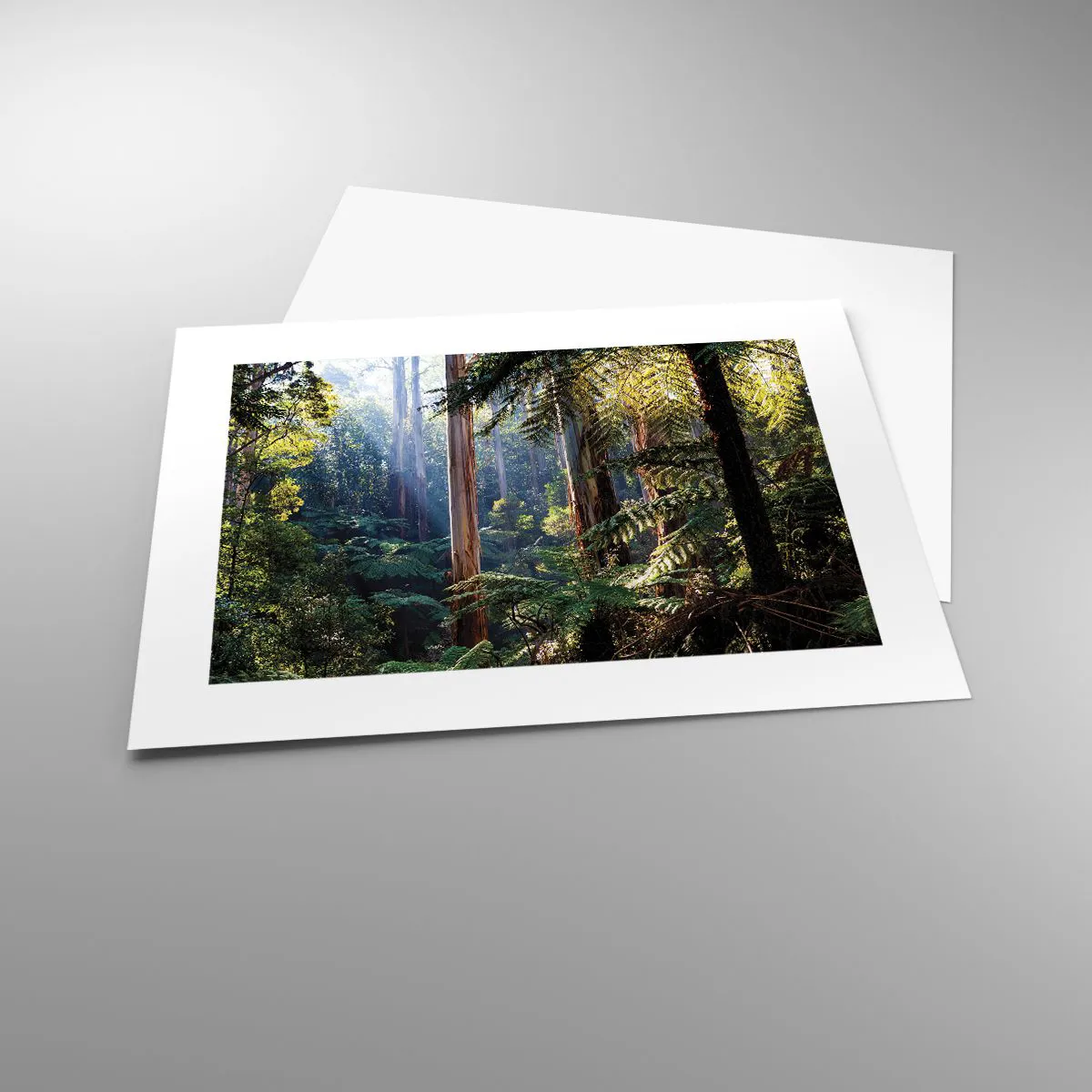 Plakát - Povídka lesa - 40x30 cm