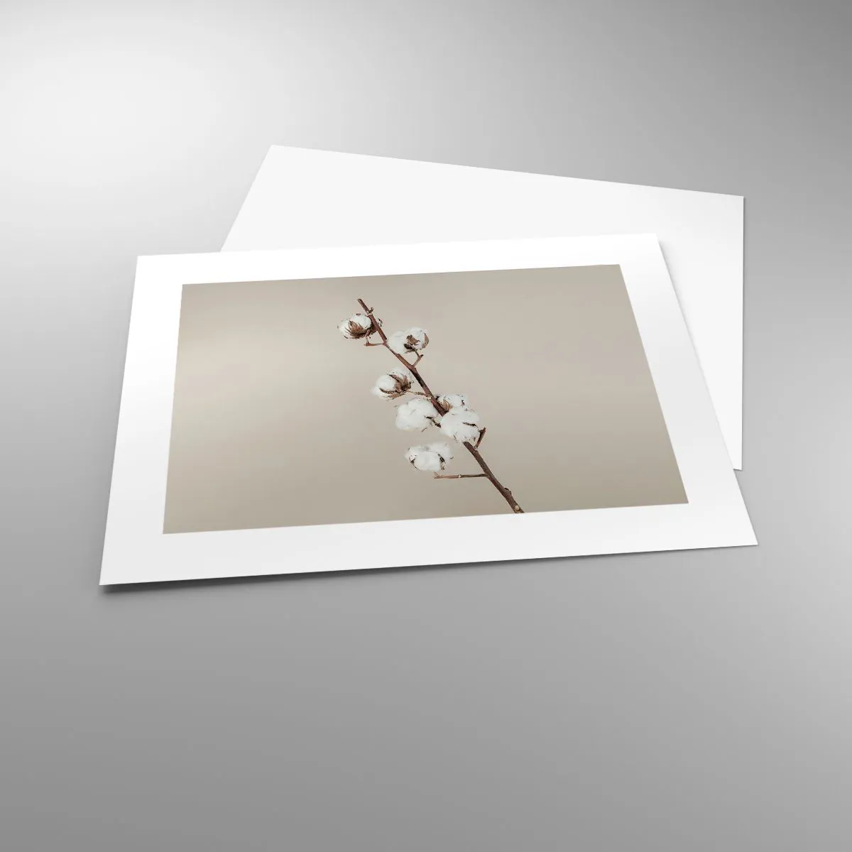 Plakát - U zdroje měkkosti - 40x30 cm