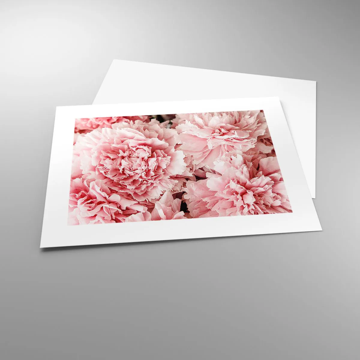 Plakat - Różowe marzenie - 40x30 cm