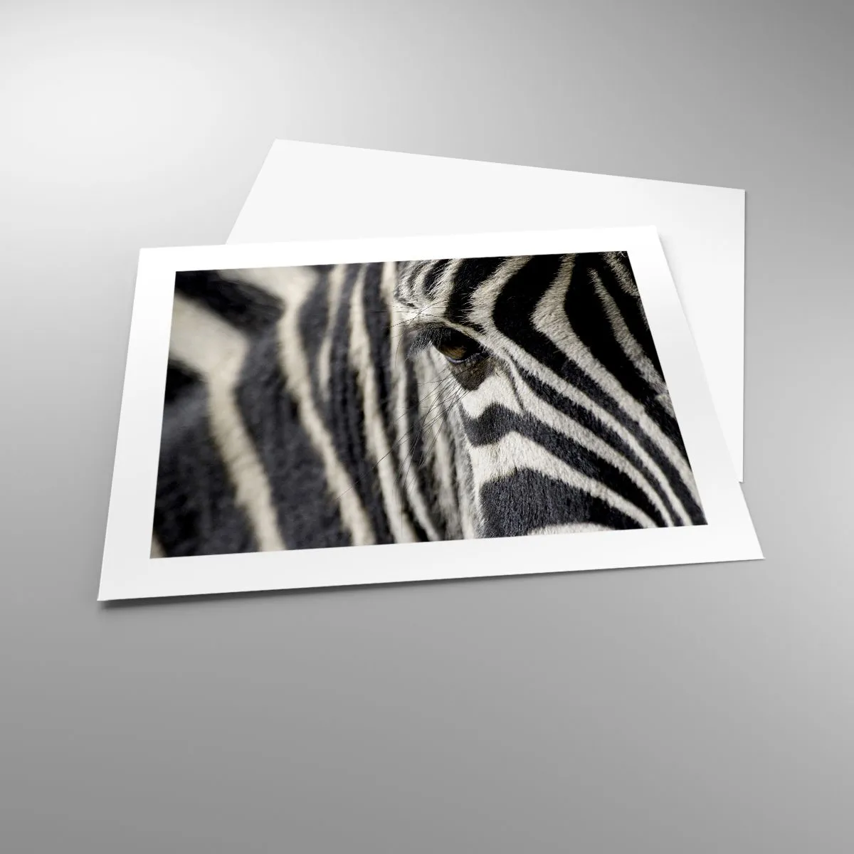 Poster - Striped Portrait - 50x40 cm