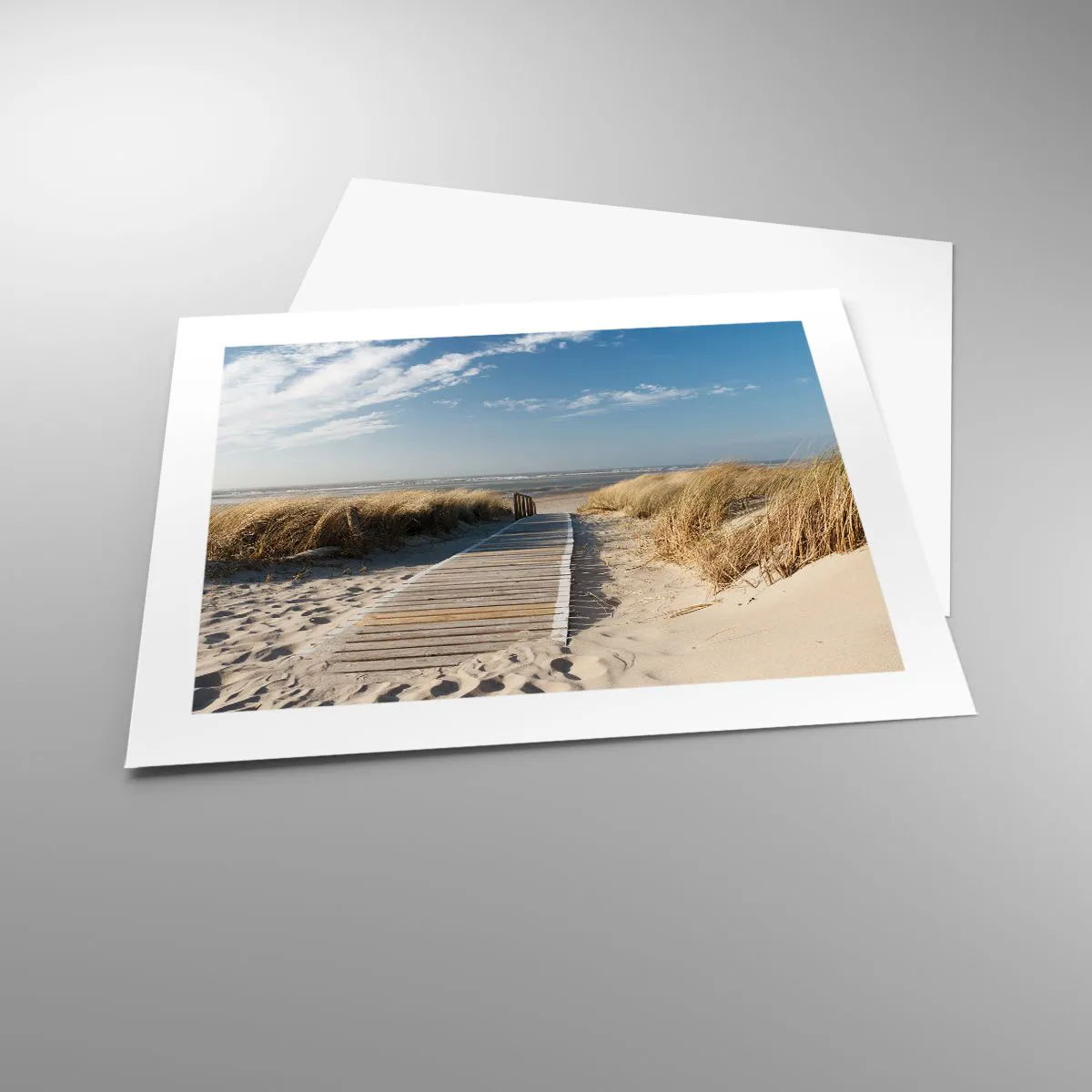 Poster - Behind a Dune, in the Hum of Trees - 50x40 cm