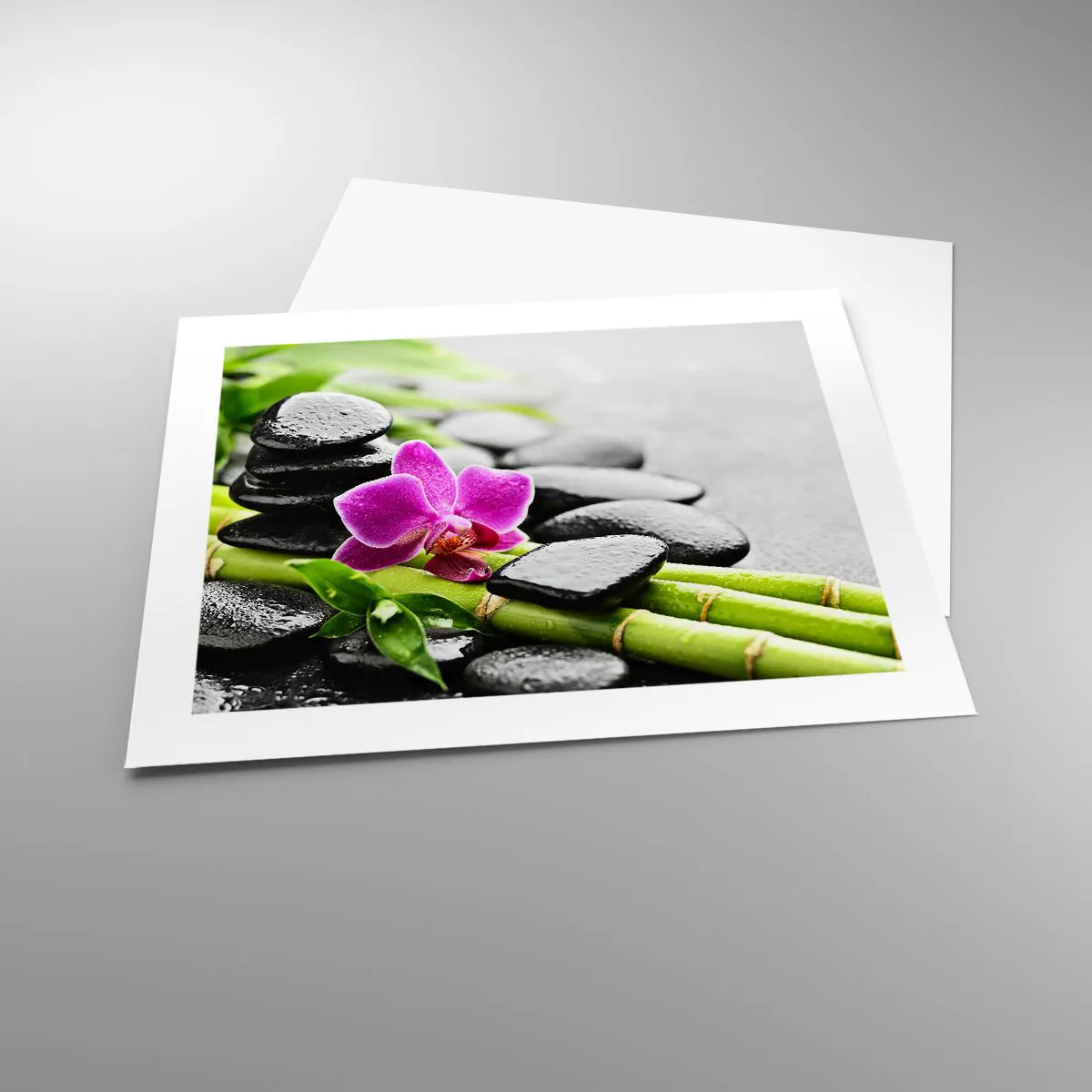 Affiche - Poster - Dans un équilibre de calme - 50x40 cm