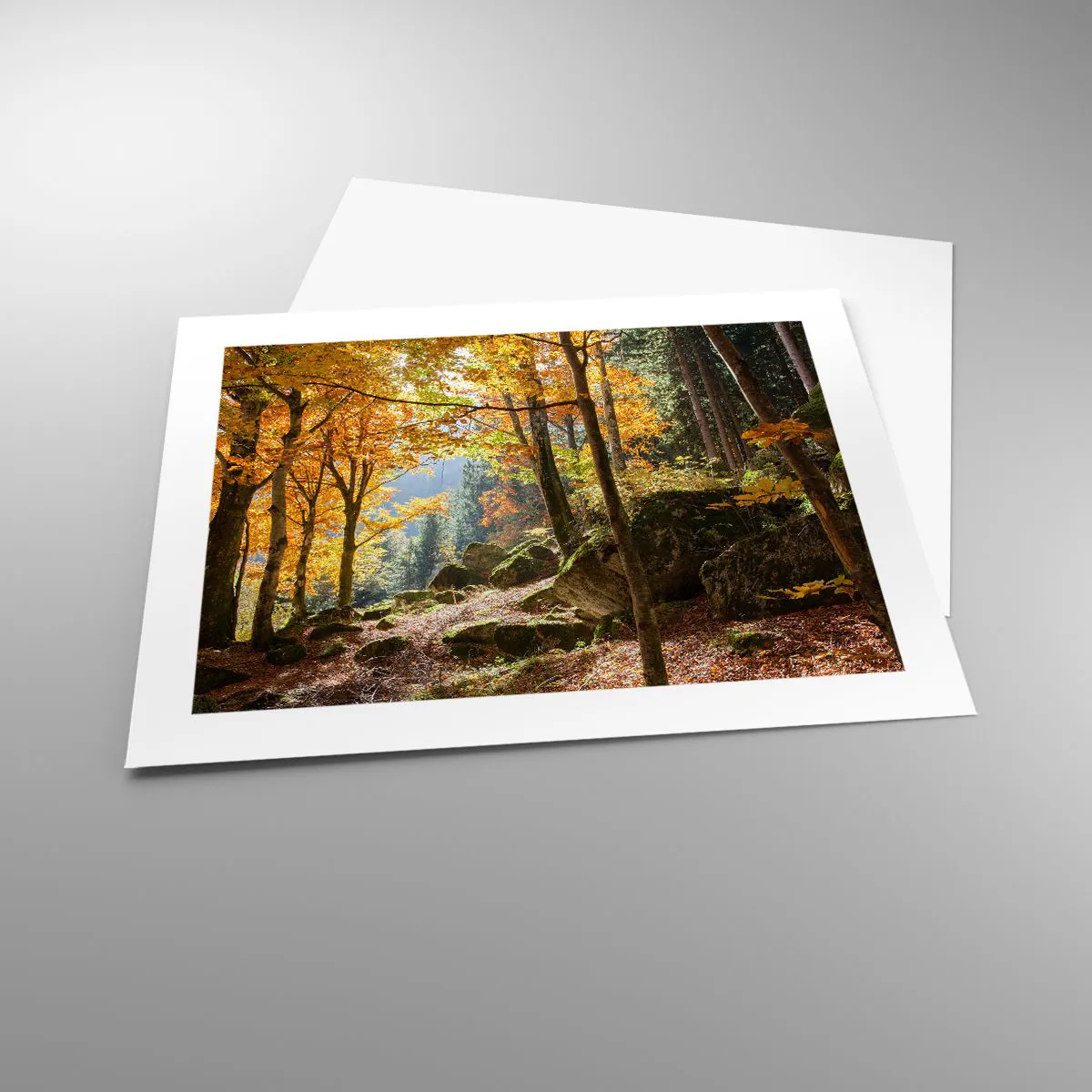 Affisch - Dags att vila - 50x40 cm