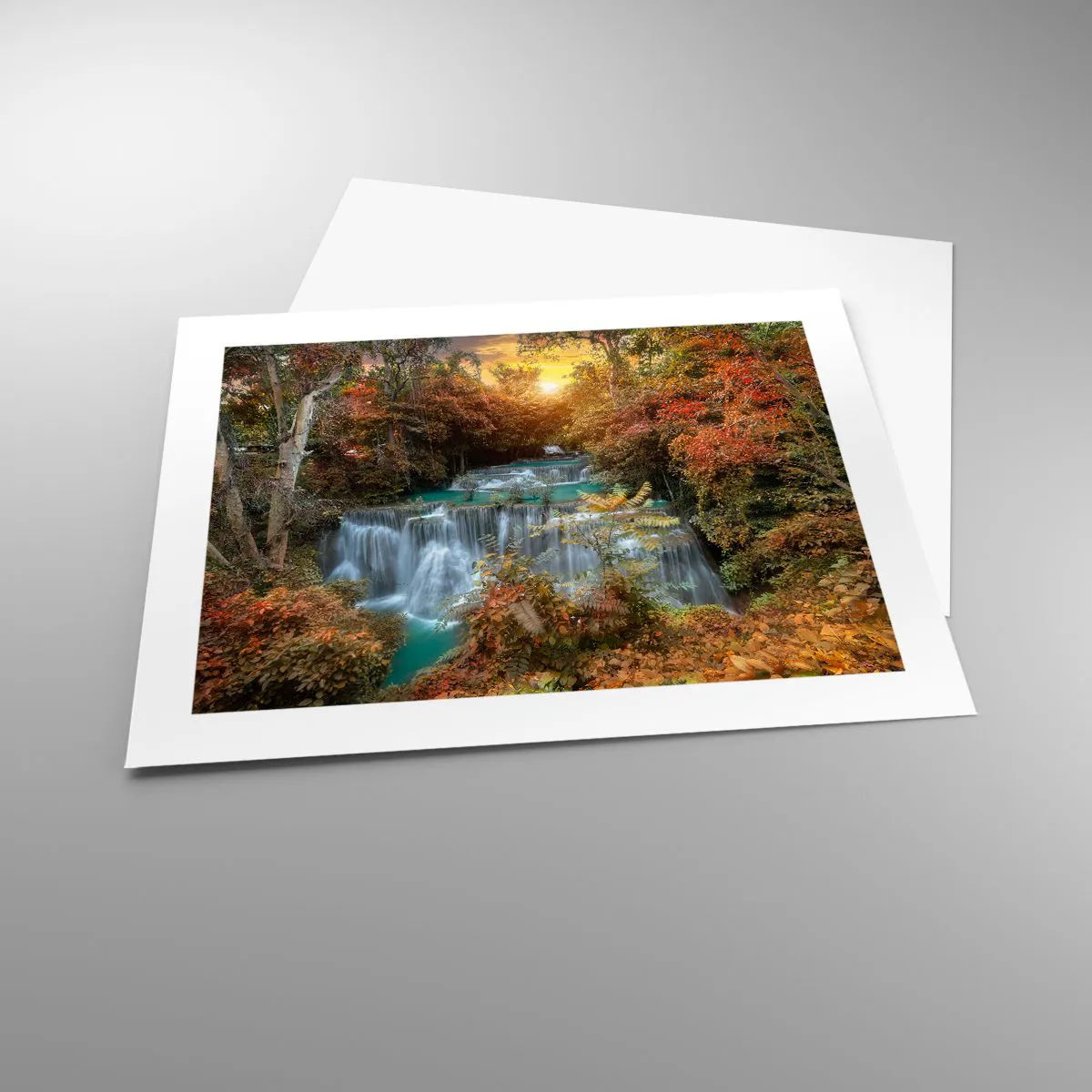 Plakát - Ukrytý poklad lesa - 50x40 cm