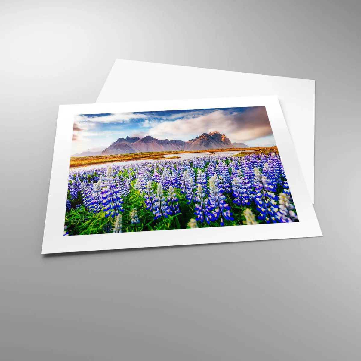 Poszter - Erő és szigorúság a szelídség mellett - 50x40 cm