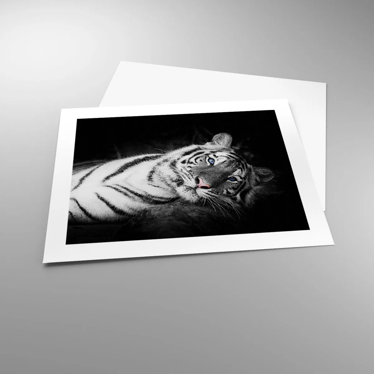 Affiche - Poster - Sauvagerie et paix - 50x40 cm