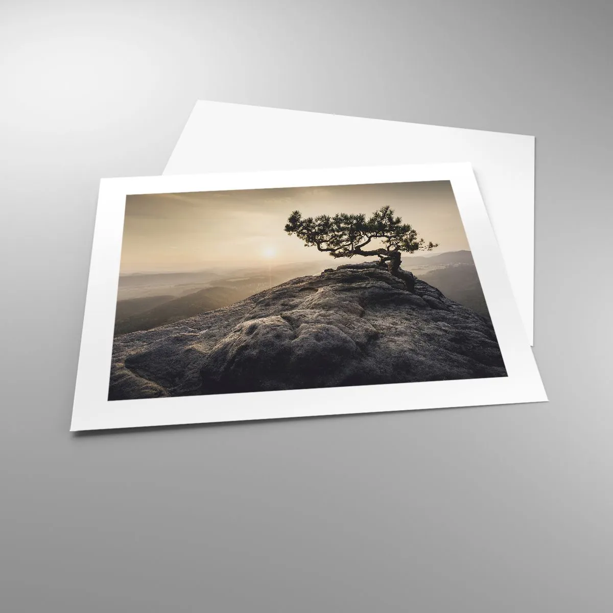 Poster - Life Always Wins - 50x40 cm