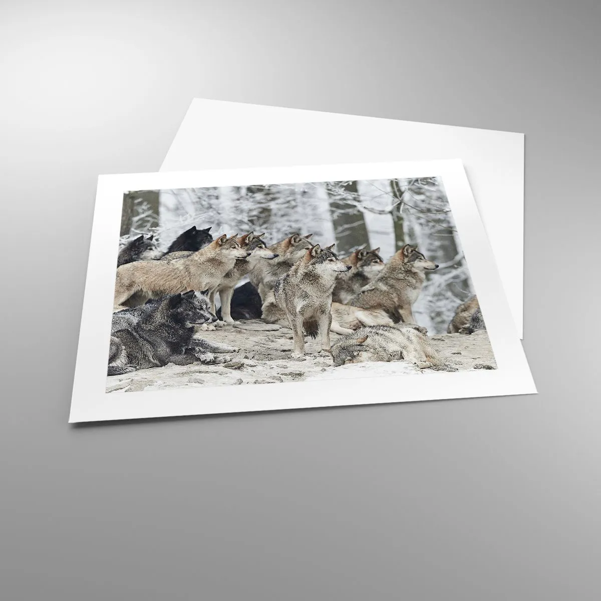 Plakat - Familie og venner - 50x40 cm