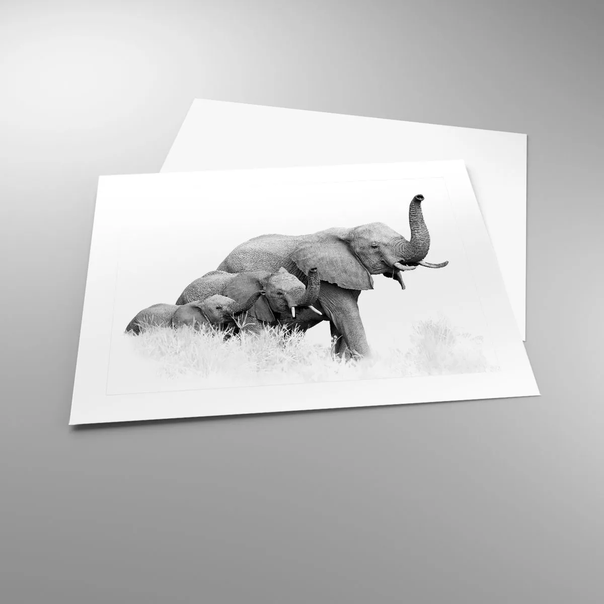 Plakát - Jedna, dvě, tři - 50x40 cm