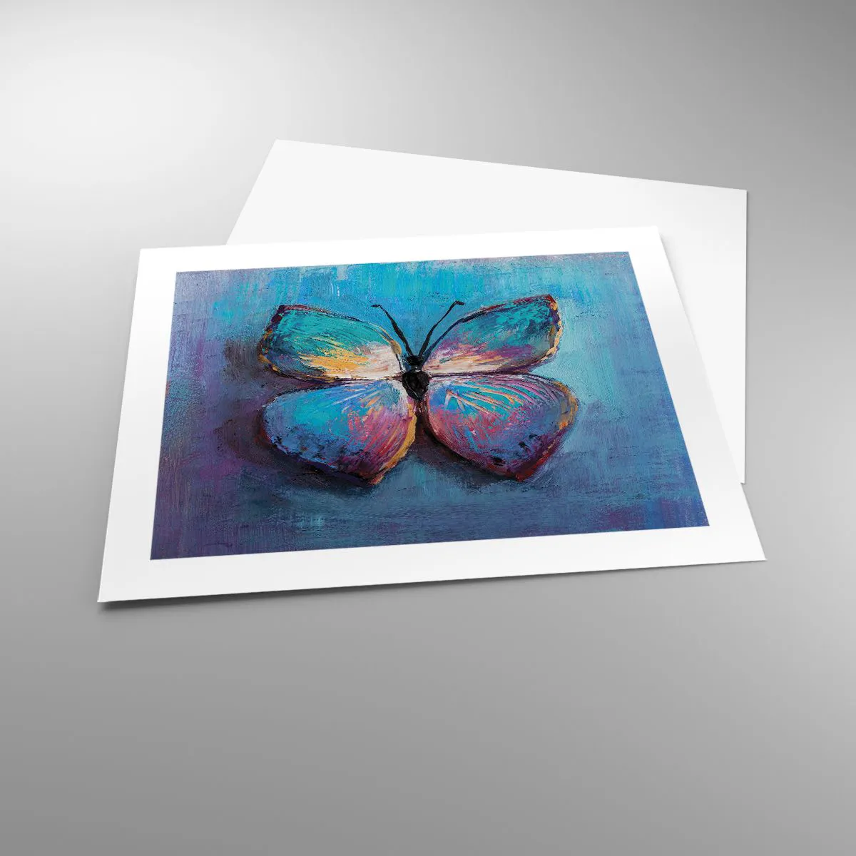 Affiche - Poster - Dans toute sa splendeur - 50x40 cm