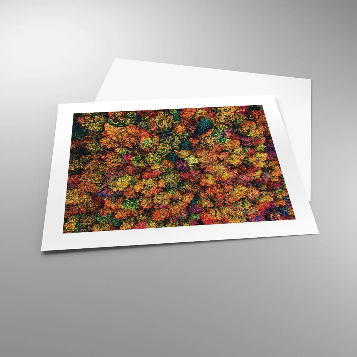 Poszter - Őszi facsokor - 50x40 cm