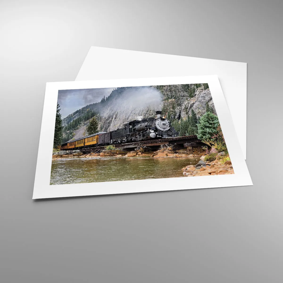 Poszter - Hova? Hova? - 50x40 cm