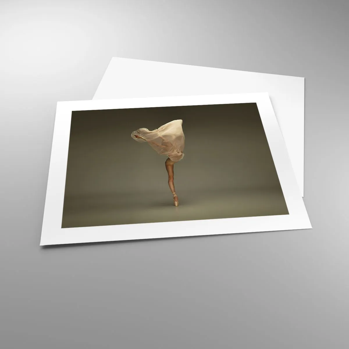 Affiche - Poster - Il va bientôt s'envoler - 50x40 cm