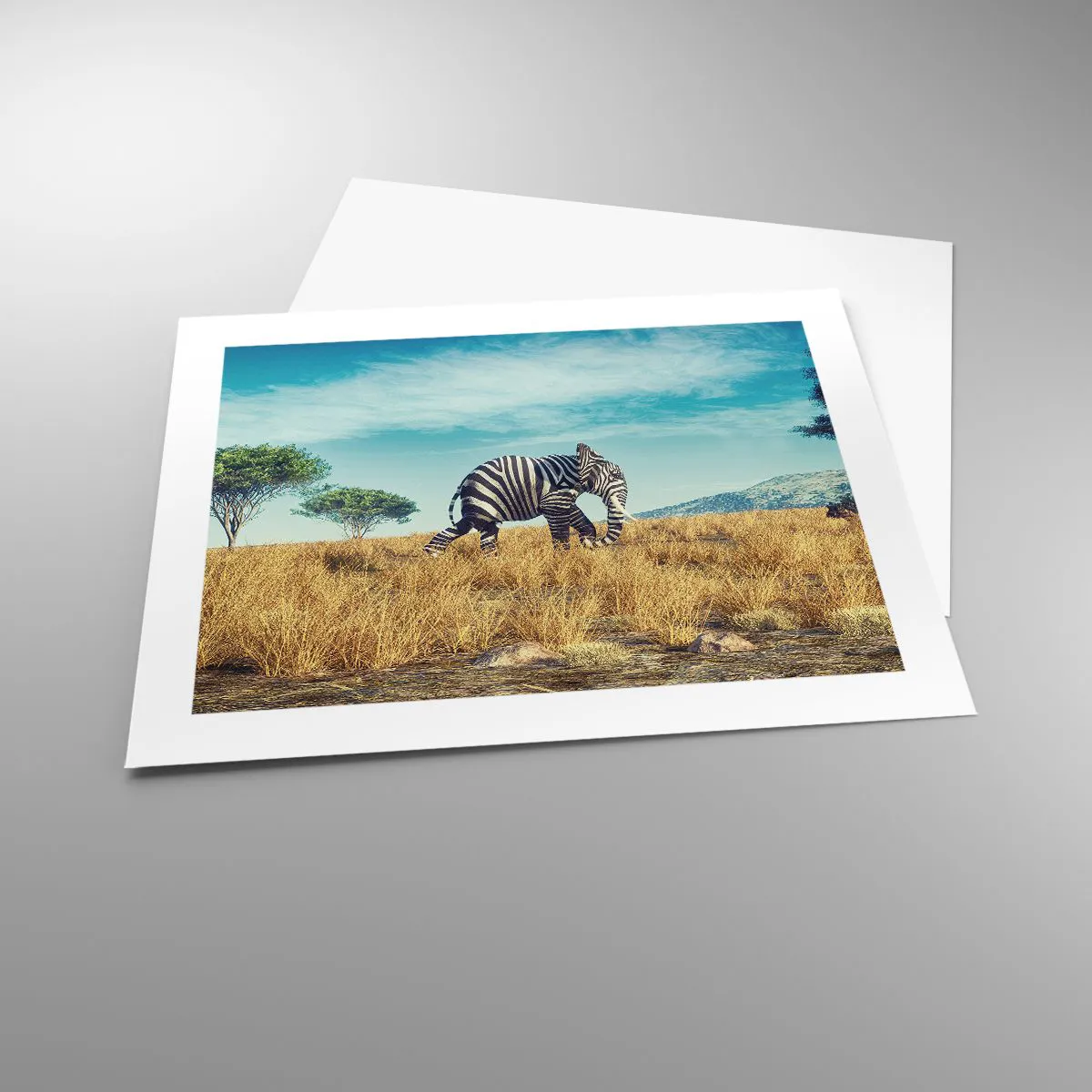 Plagát - Šedá už nie je v móde - 50x40 cm