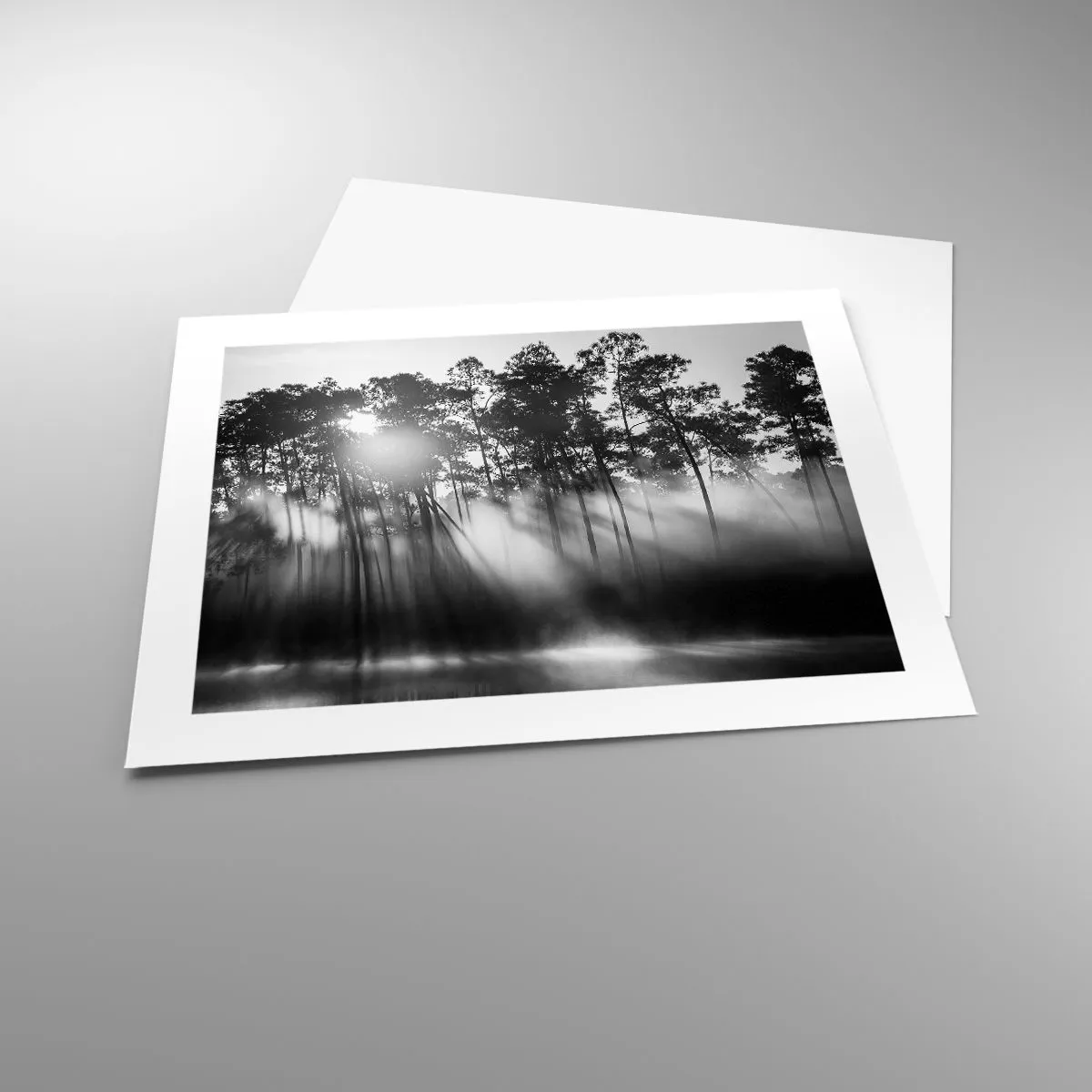 Plakat - Niepowstrzymane słońce - 50x40 cm