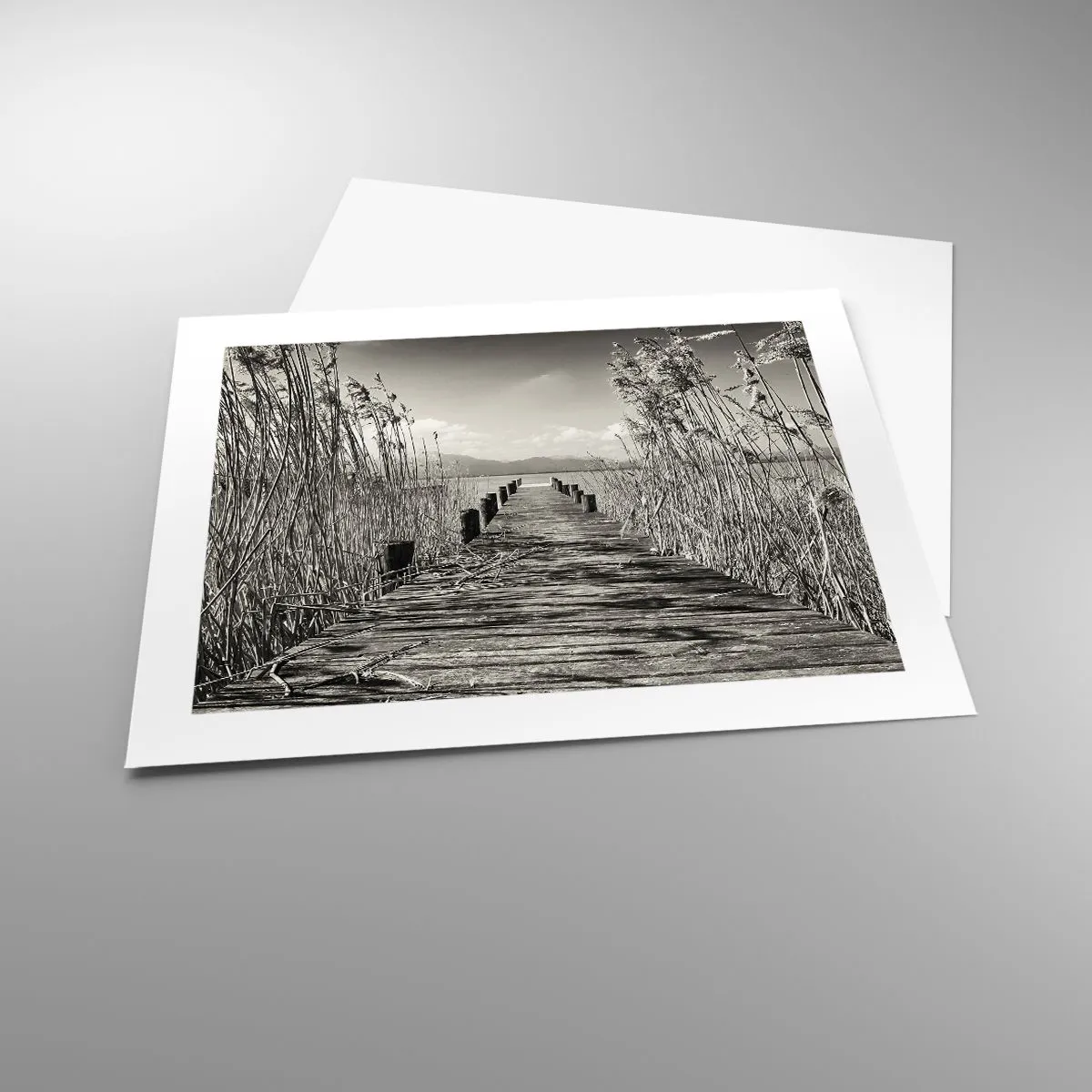 Affiche - Poster - Dans le calme de l'herbe - 50x40 cm