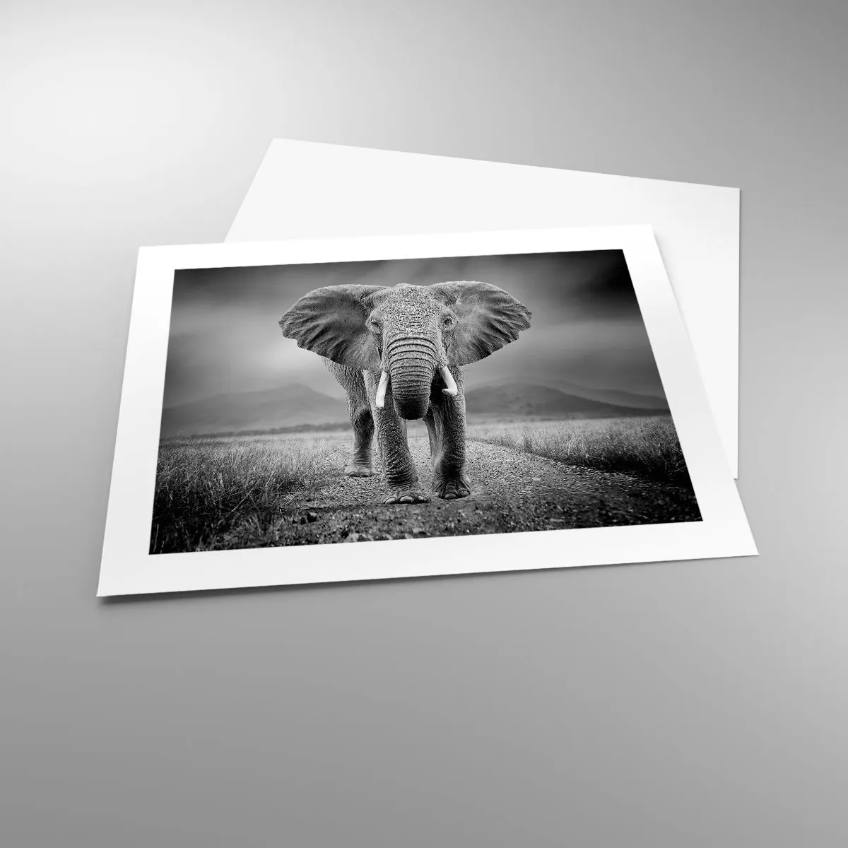 Pôster - O anfitrião dá as boas-vindas - 50x40 cm