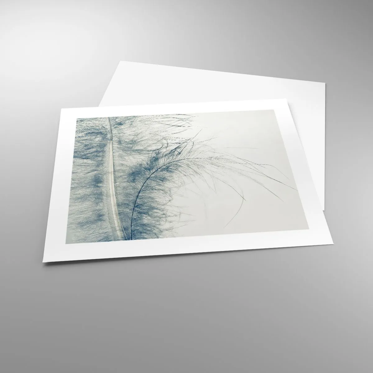 Affiche - Poster - Les sept natures - 50x40 cm