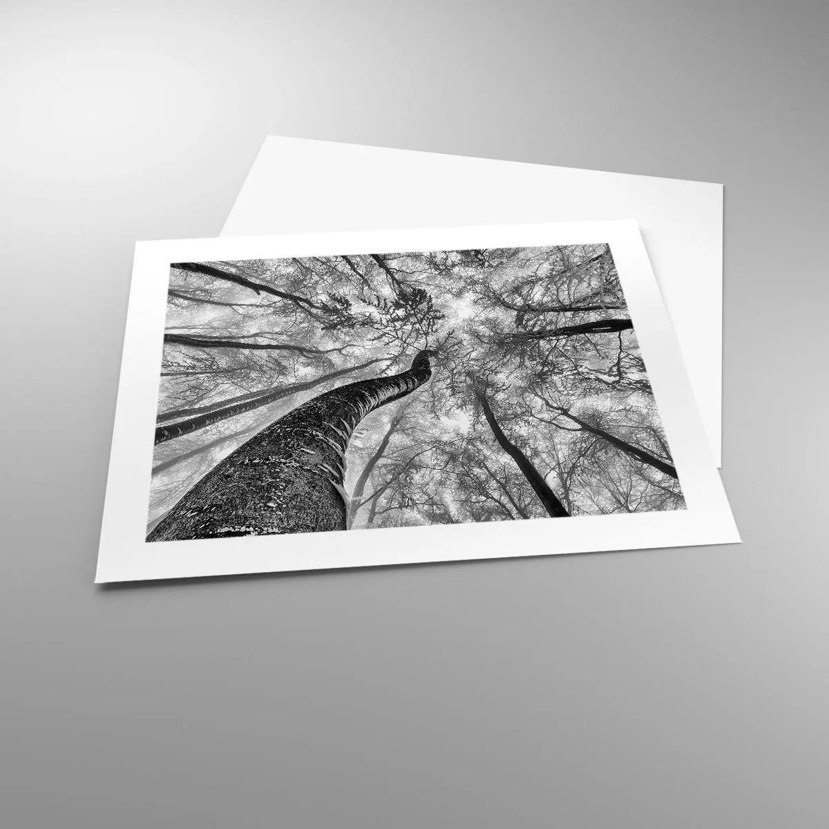 Plakat - Kapløb mod lyset - 50x40 cm