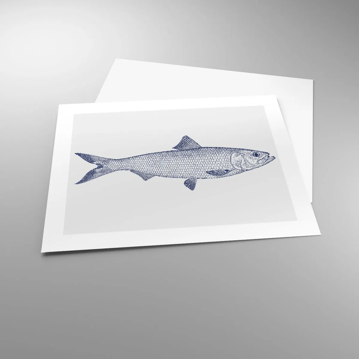 Plakat - Pozdrowienia z północnych mórz - 50x40 cm