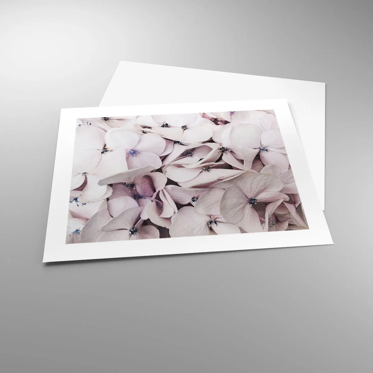 Poster - Într-un potop de flori - 50x40 cm