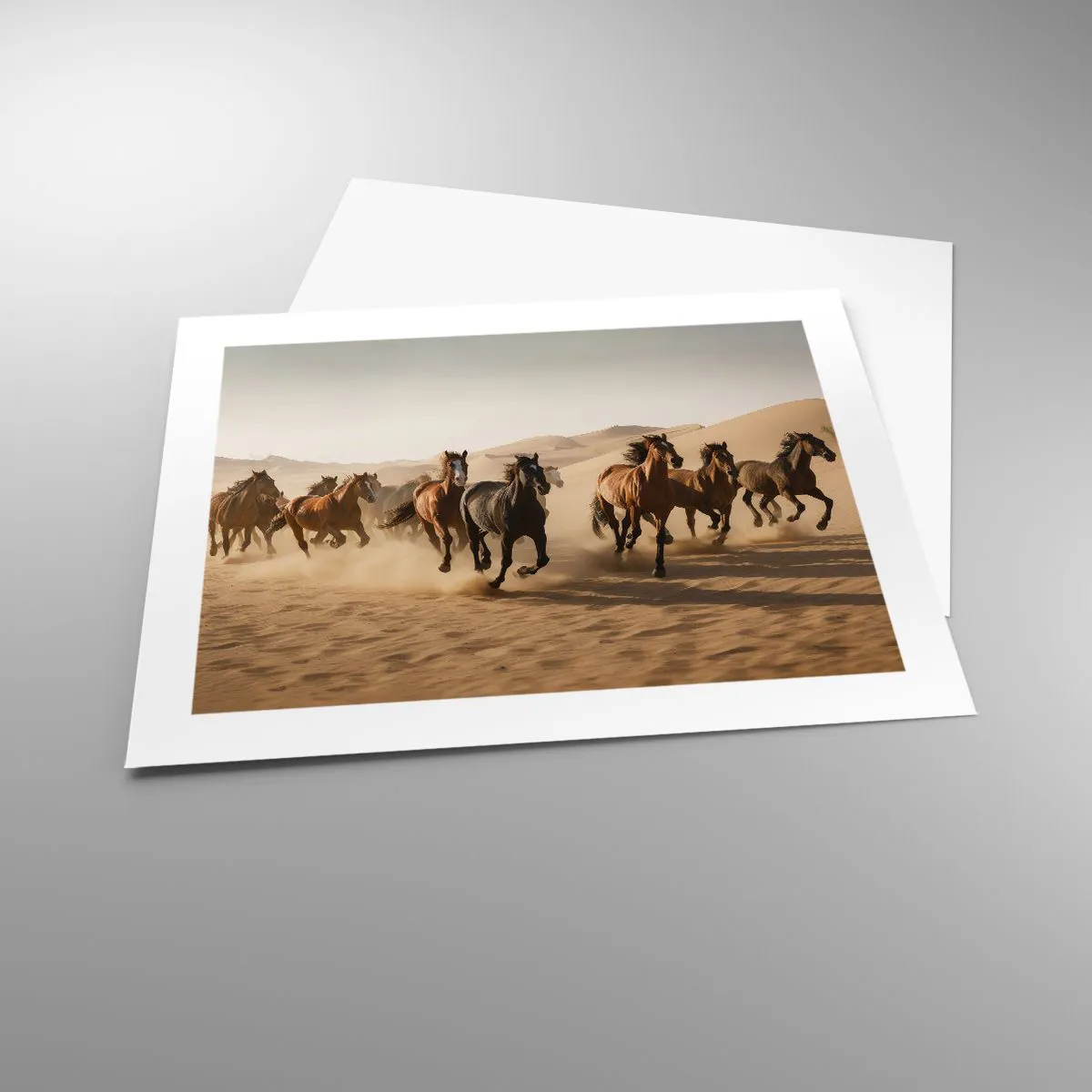 Poster - Free as a Wind - 50x40 cm