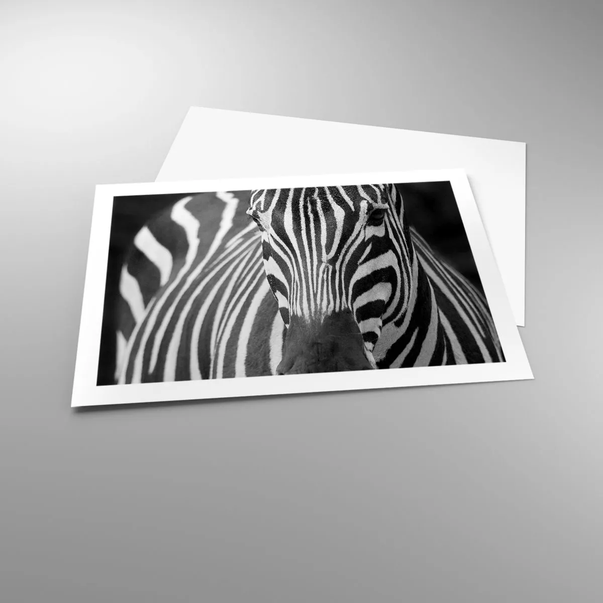 Plakat - Verden er sort og hvid - 70x50 cm