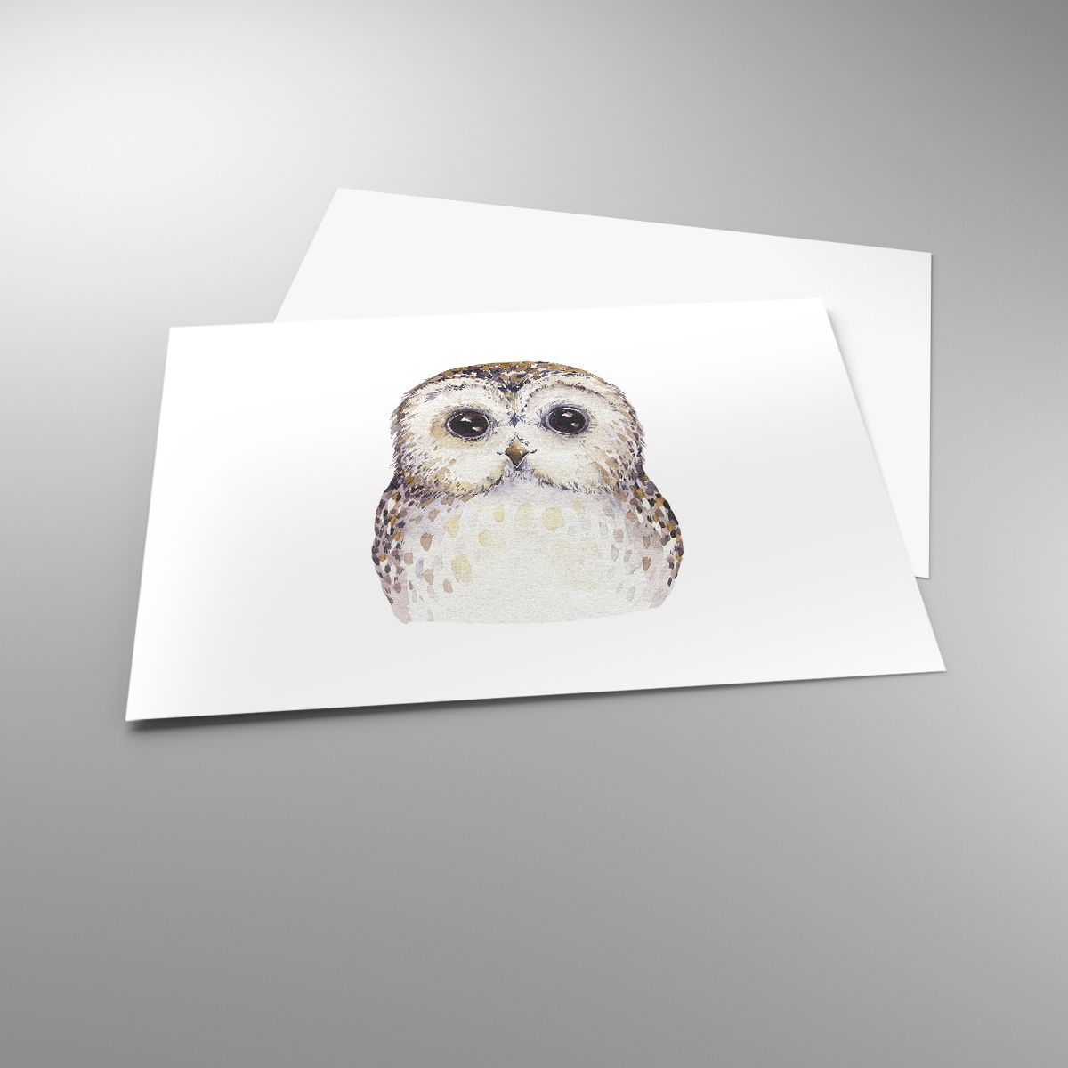 Poster Owl, Poster Bird, Poster Graphics, Poster For Children, Poster Graphics
