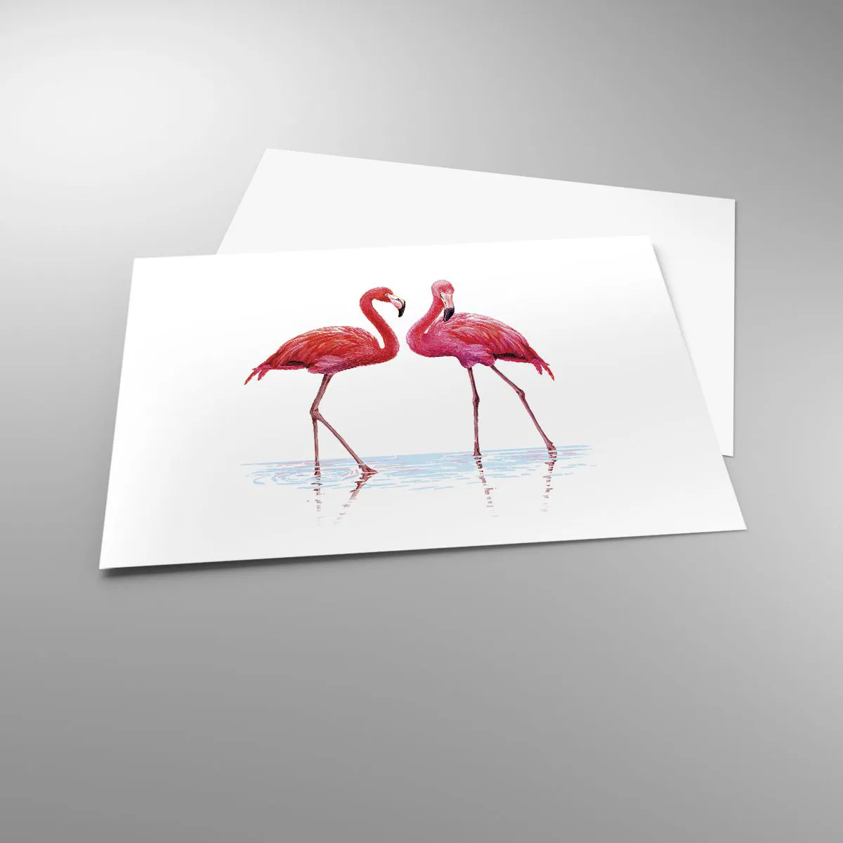 Poster - Pink Rendezvous - 70x50 cm