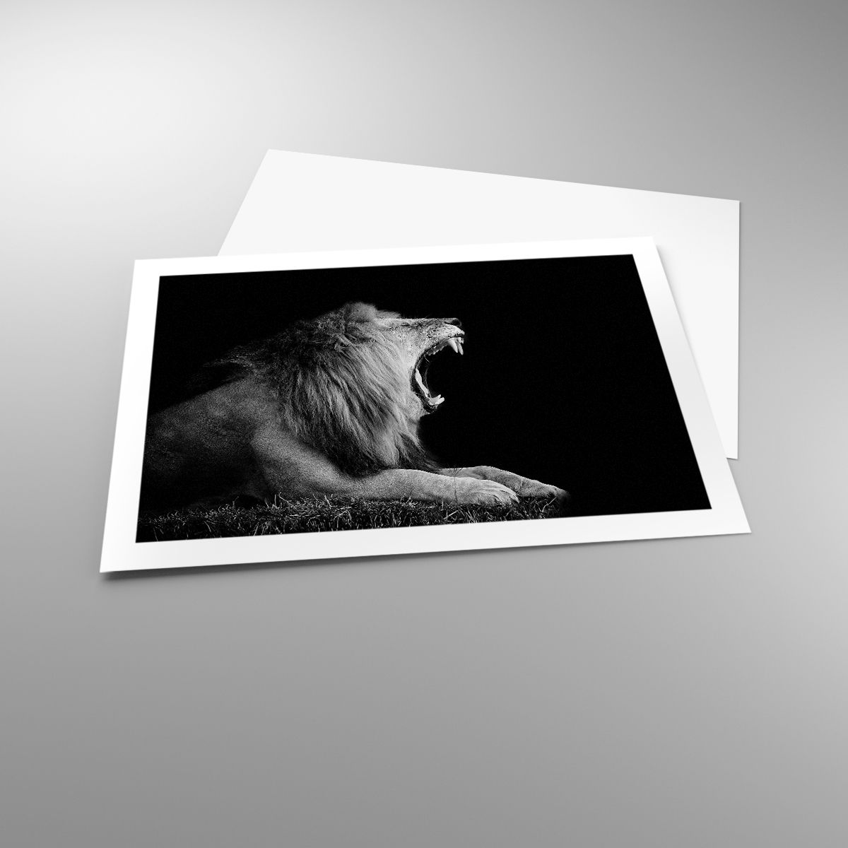 Poster Lion, Poster Animals, Poster Black And White, Poster Predator, Poster Safari