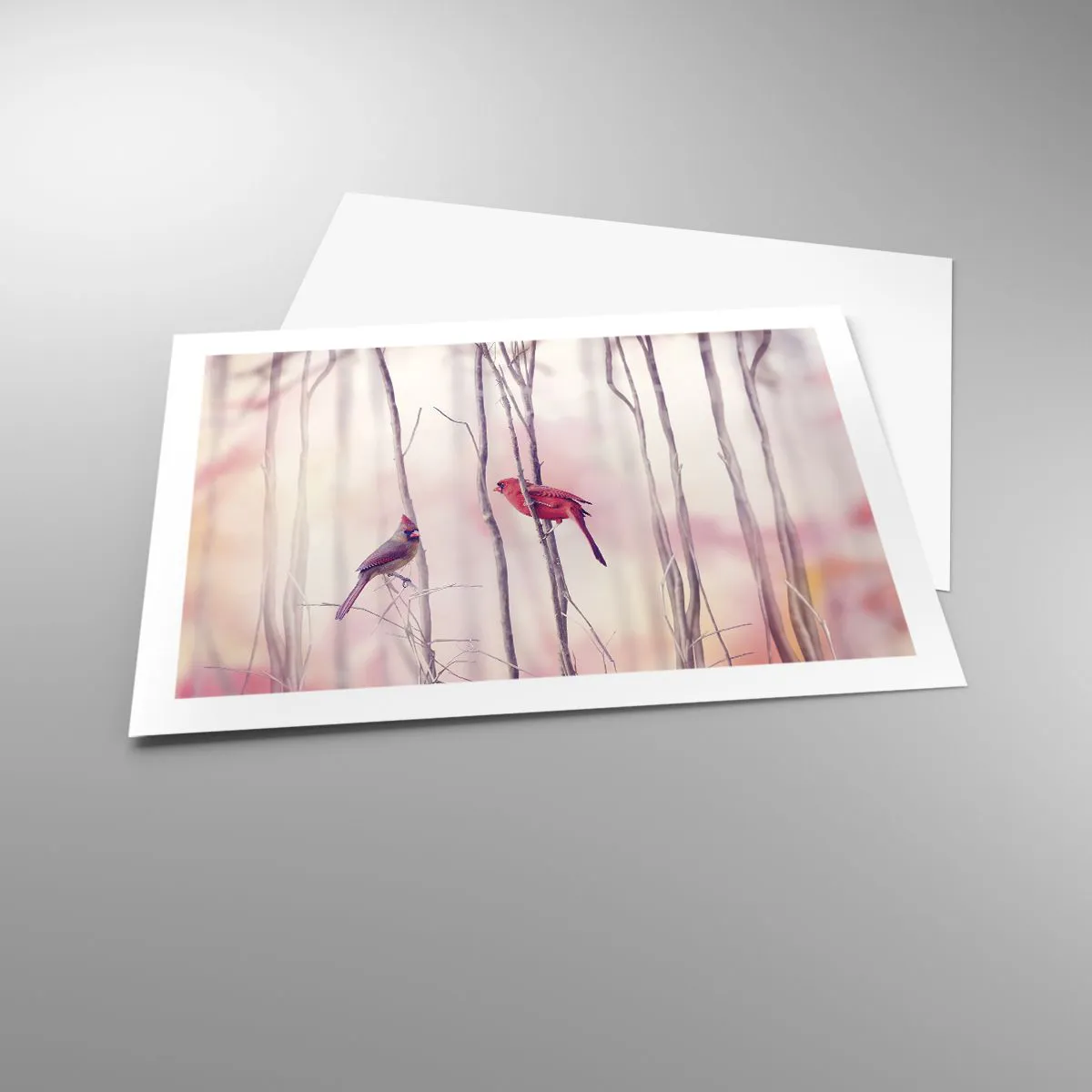 Plakat - Fortællingen om den lyserøde skov - 70x50 cm