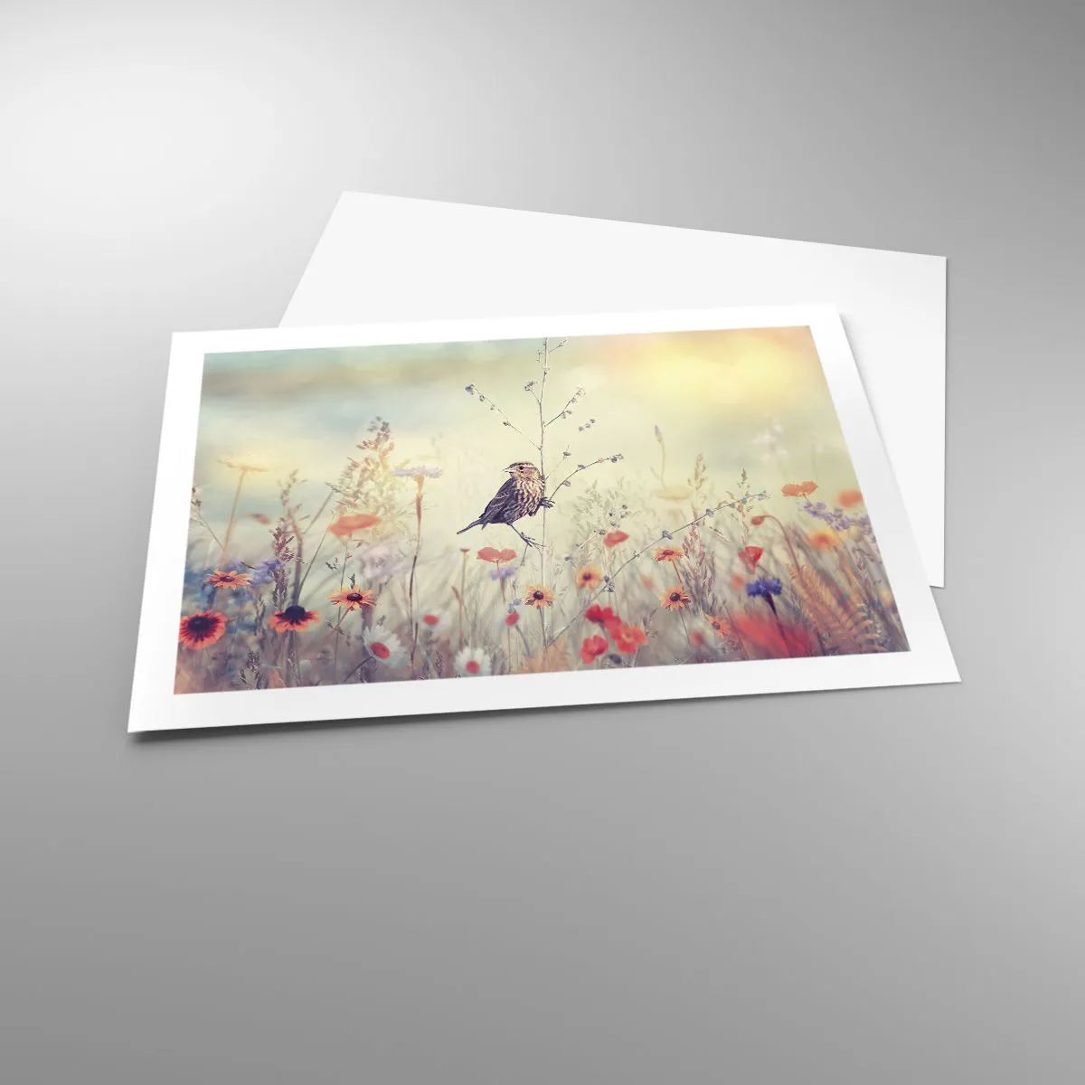 Plagát - Portrét vtáka s lúkou v pozadí - 70x50 cm