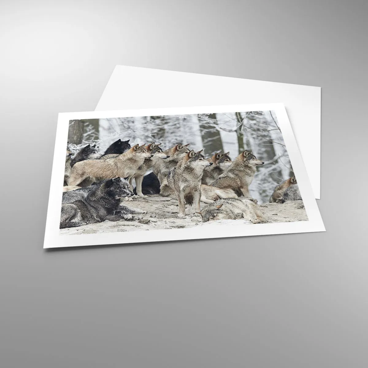 Plakát - Rodina a přátelé - 70x50 cm