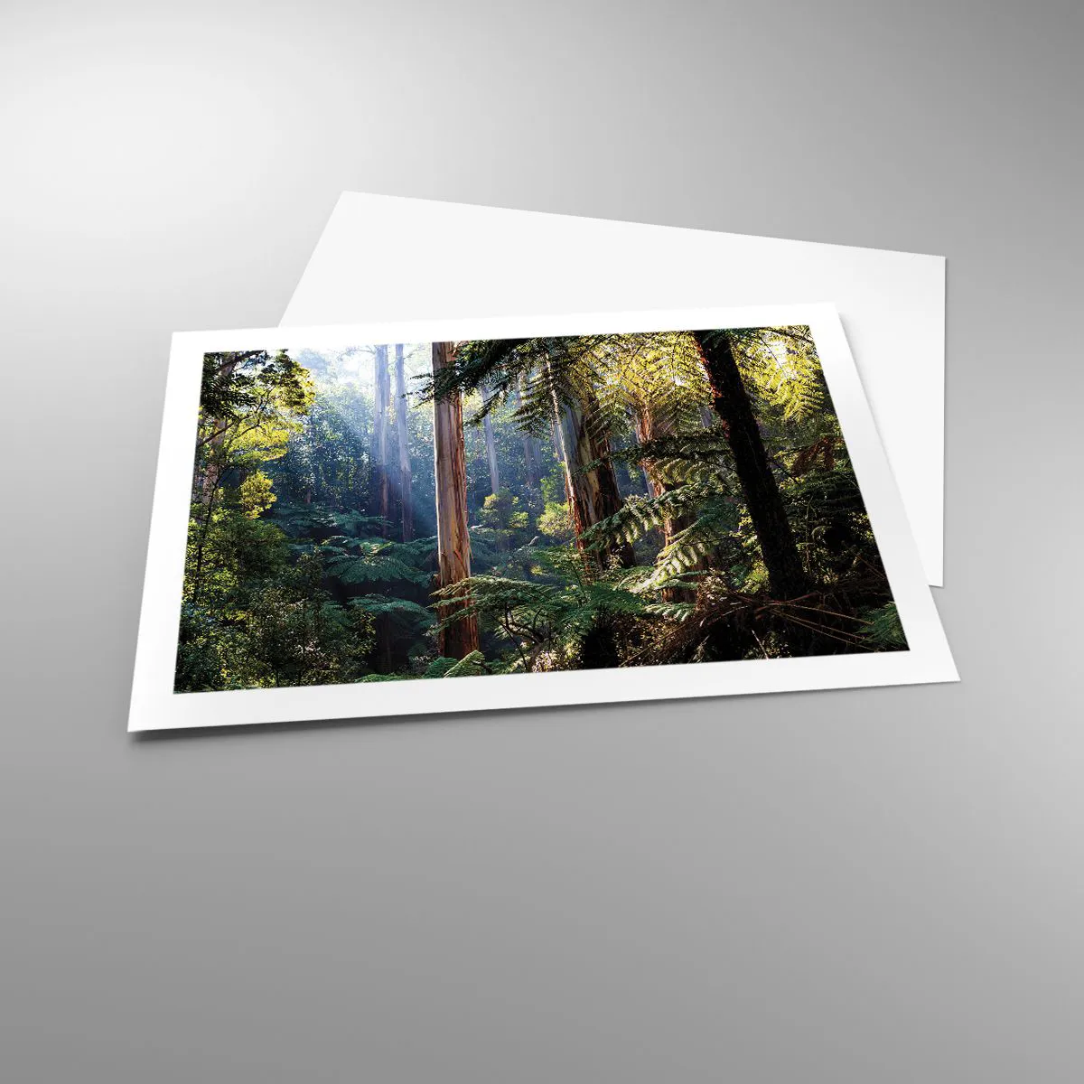 Plakát - Povídka lesa - 70x50 cm