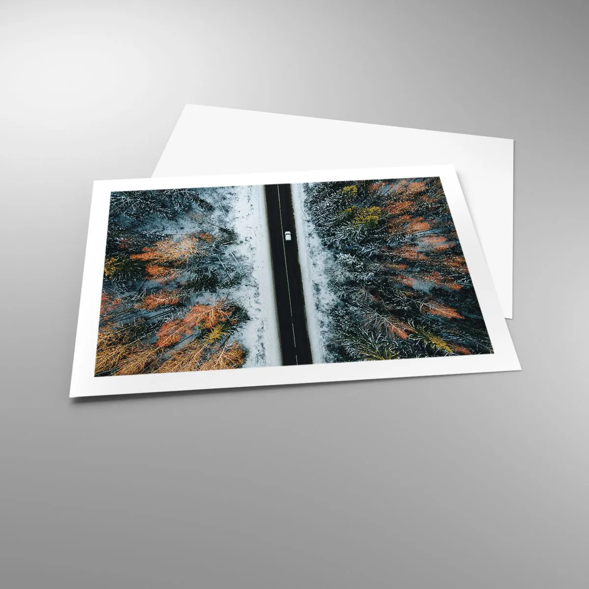 Affiche - Poster - Couper à travers la forêt d'hiver - 70x50 cm