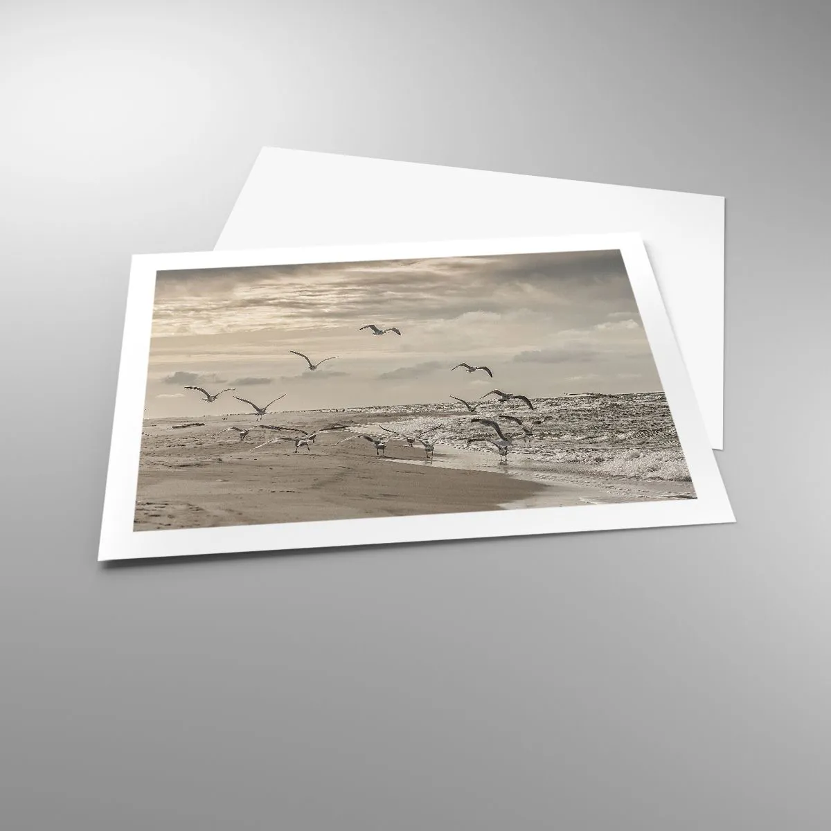 Affiche - Poster - Le bruit de la mer, le chant des oiseaux - 70x50 cm