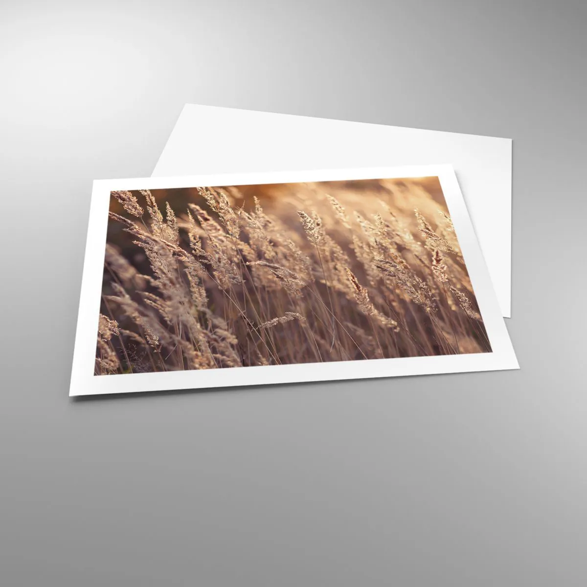 Plagát - Pripravení privítať jeseň - 70x50 cm