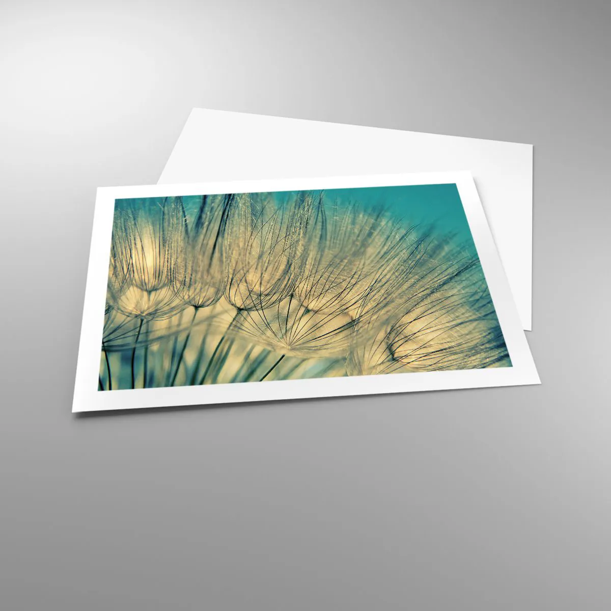 Pôster - À espera do vento - 70x50 cm