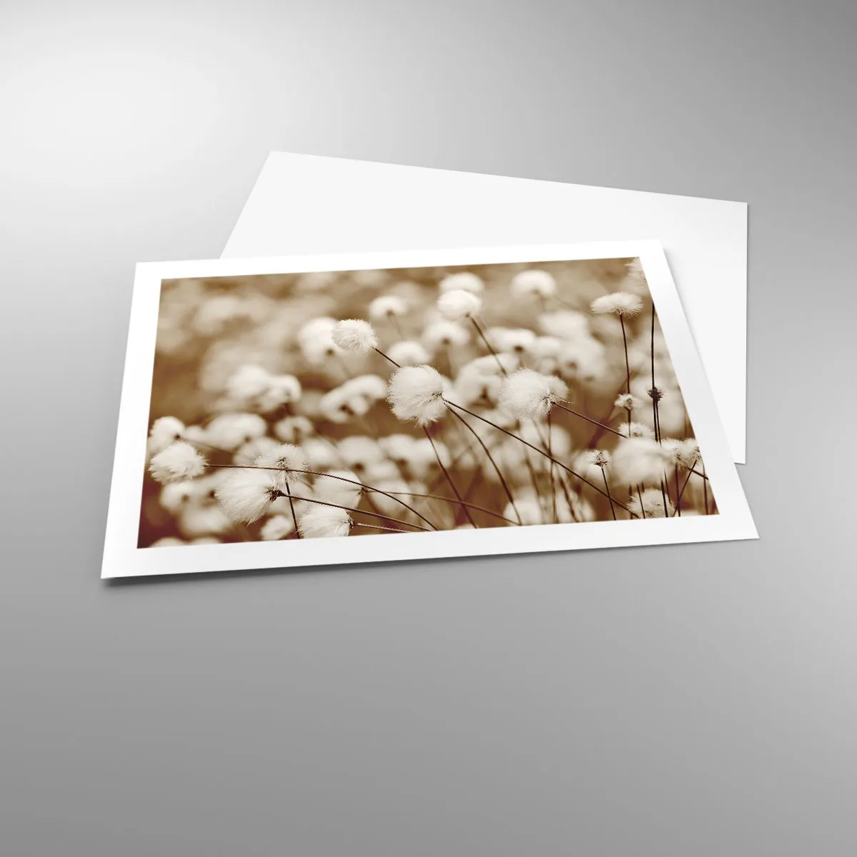 Plakát - Chlupatý lán - 70x50 cm