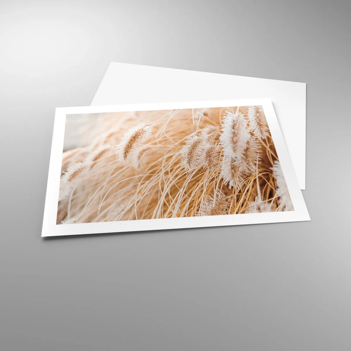 Affiche - Poster - Le bruissement doré de l'herbe - 70x50 cm
