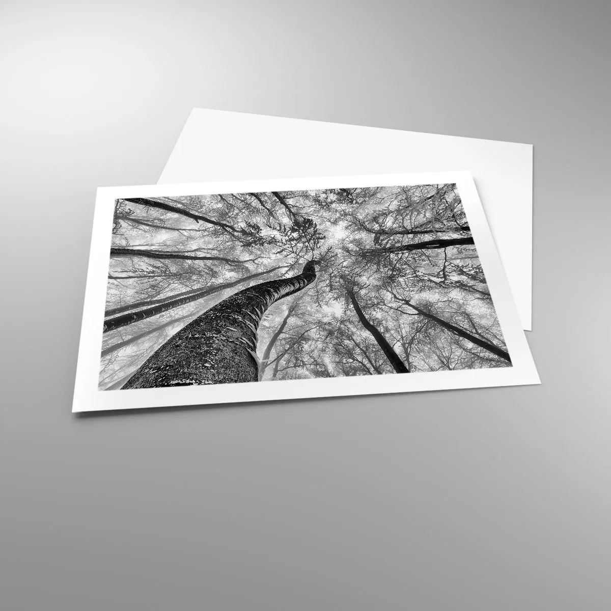 Poszter - Verseny a fény felé - 70x50 cm