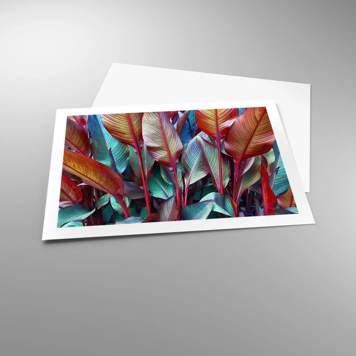 Poster - Selva colorata - 70x50 cm