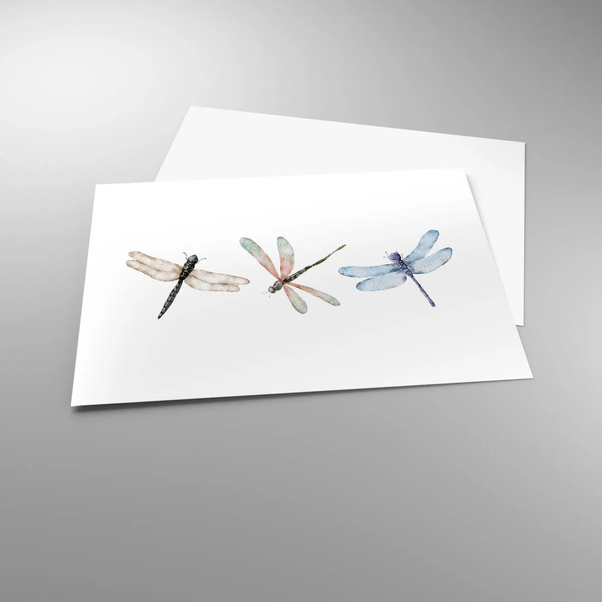 Poszter - Súlytalan szitakötők - 70x50 cm