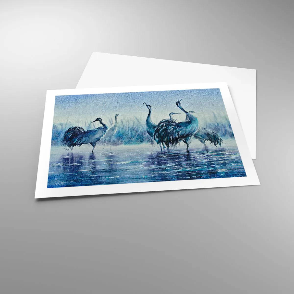 Poster - Morning Encounter - 70x50 cm