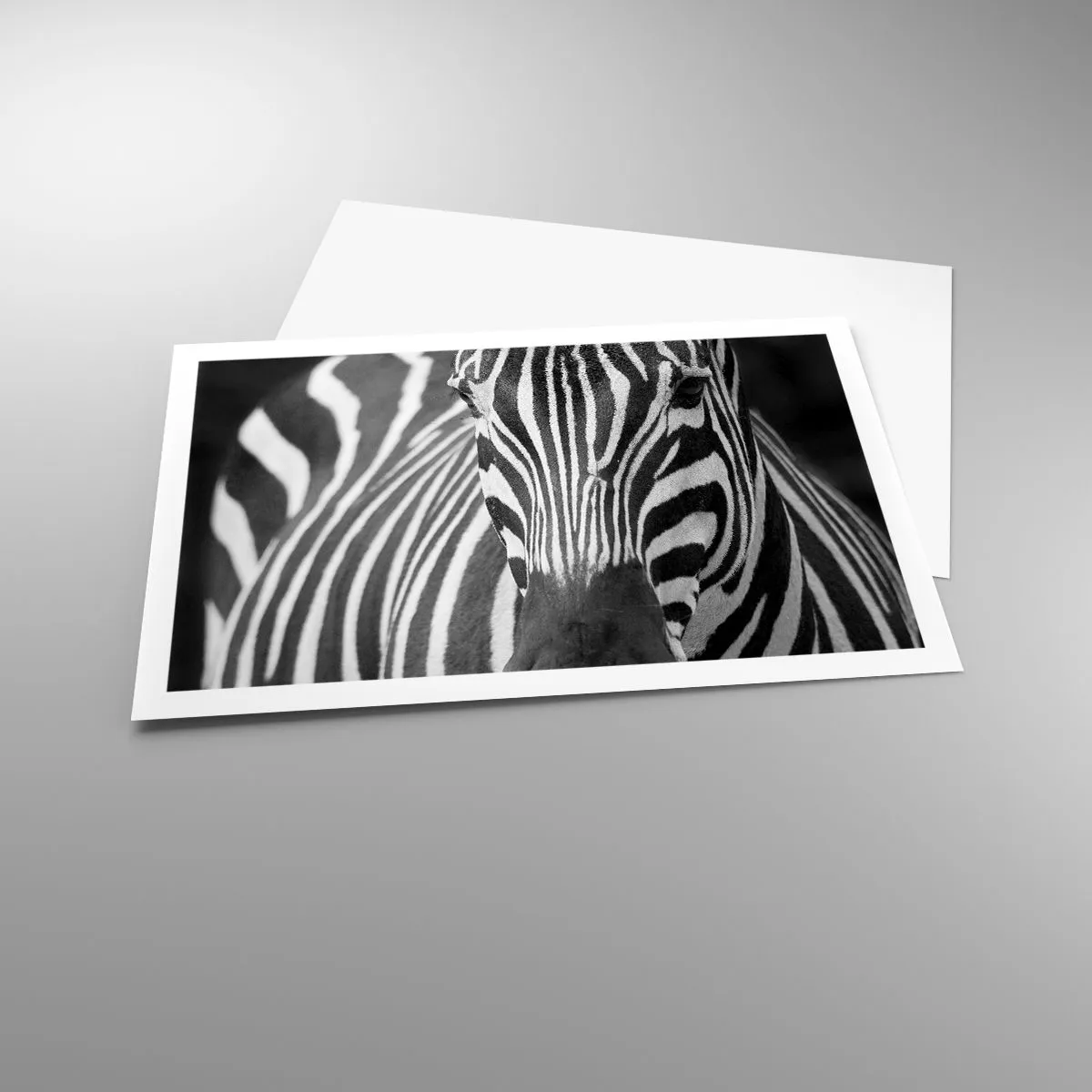 Plakat - Świat jest czarno-biały - 91x61 cm