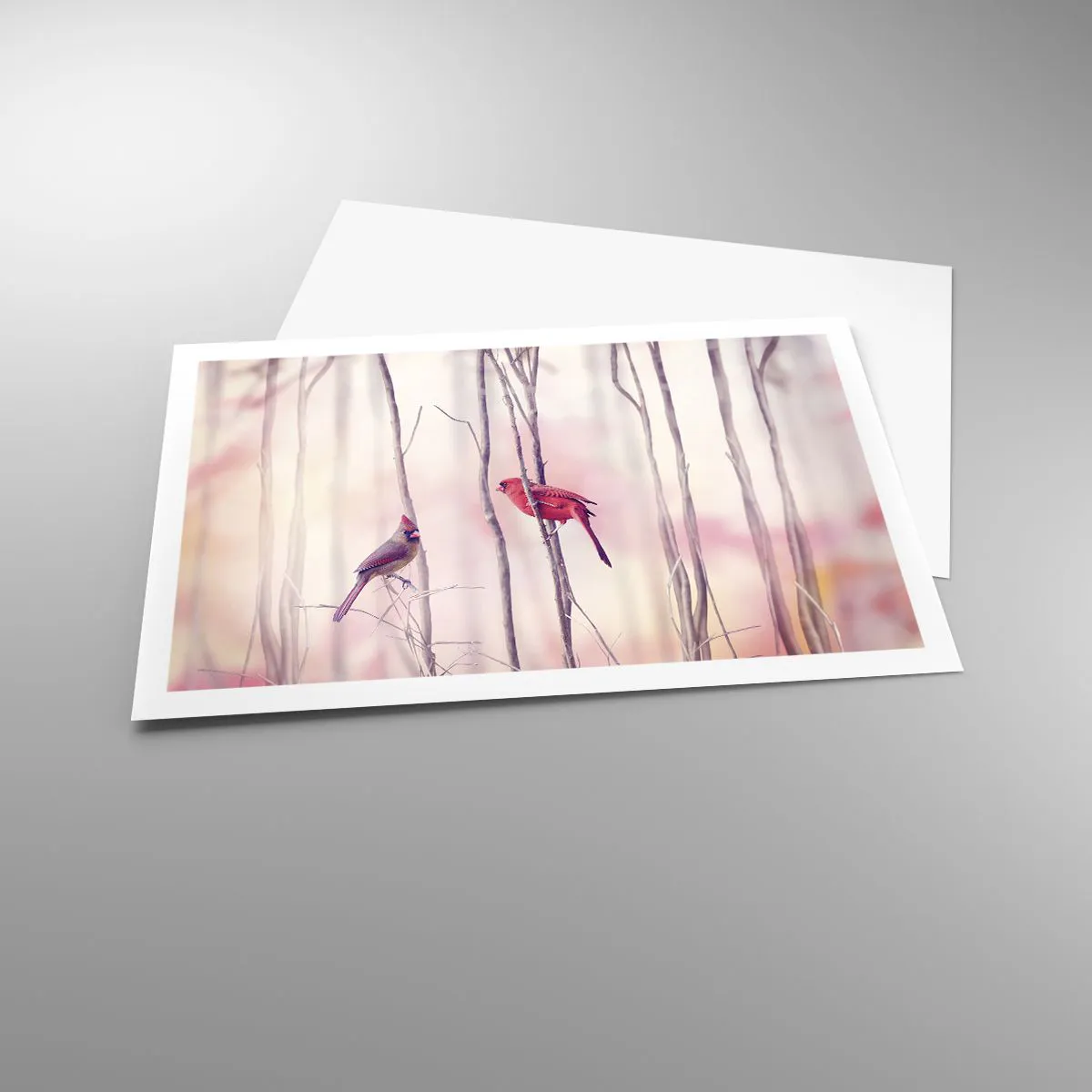 Plakat - Fortællingen om den lyserøde skov - 91x61 cm