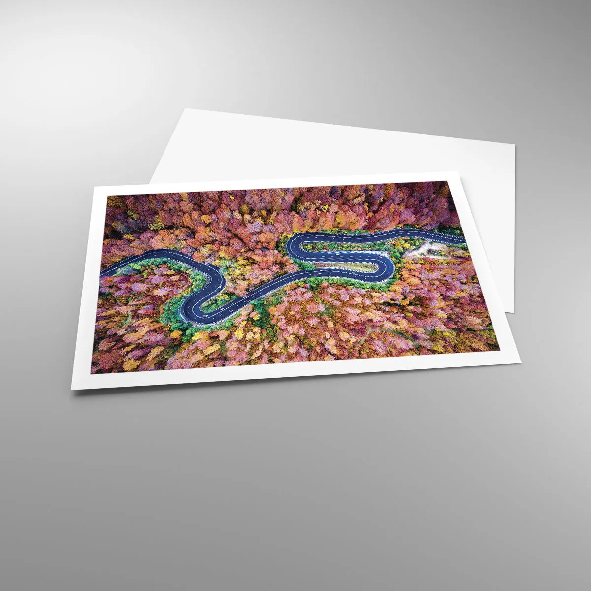 Affiche - Poster - Route sinueuse à travers la forêt - 91x61 cm